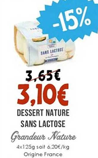 DESSERT NATURE SANS LACTOSE