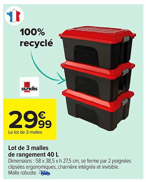 Lot de 3 malles de rangement 40 L