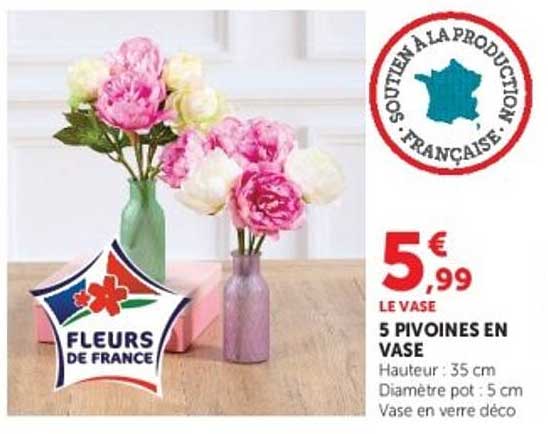 5 PIVOINES EN VASE