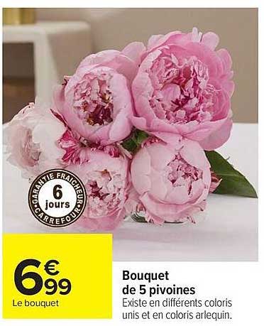 Bouquet de 5 pivoines