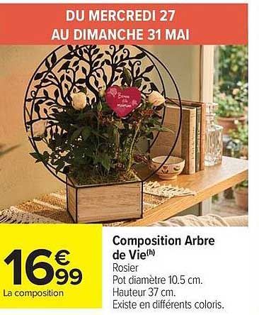 Composition Arbre de Vie(h)