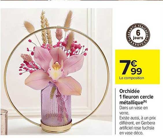 Orchidée 1 fleuron cercle métallique(h)