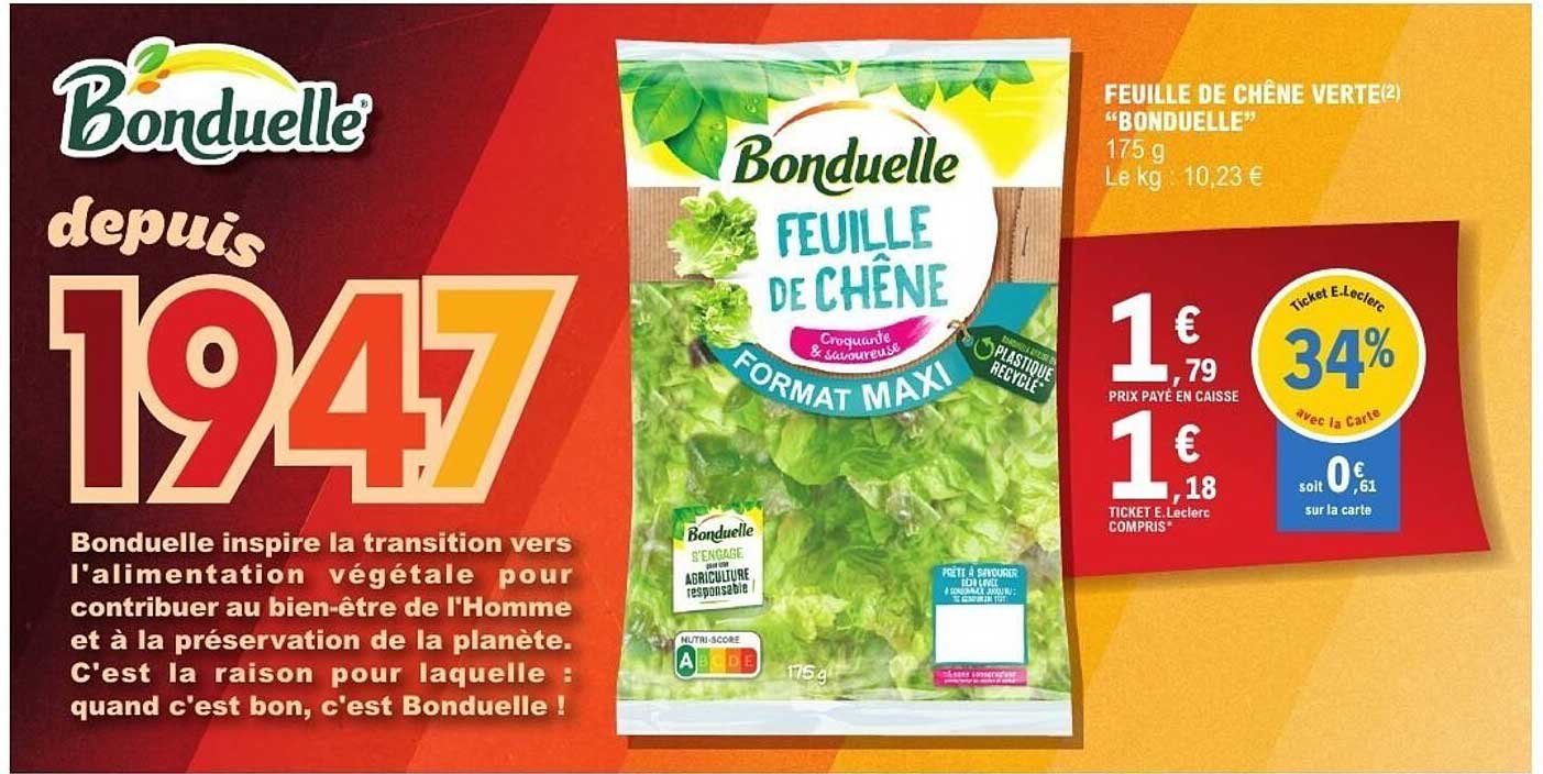 FEUILLE DE CHÊNE VERTE "BONDUELLE"
