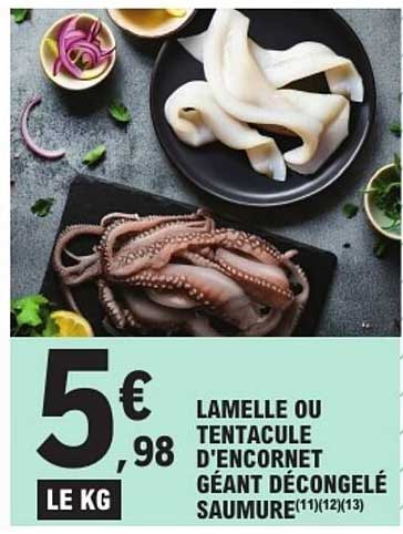 LAMELLE OU TENTACULE D'ENCORNET GÉANT DÉCONGELÉ SAUMURE