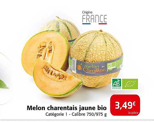 Melon charentais jaune bio