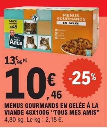 MENUS GOURMANDS EN GELÉE À LA VIANDE 48X100G "TOUS MES AMIS"