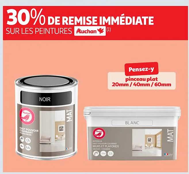 30% DE REMISE IMMÉDIATE SUR LES PEINTURES Auchan