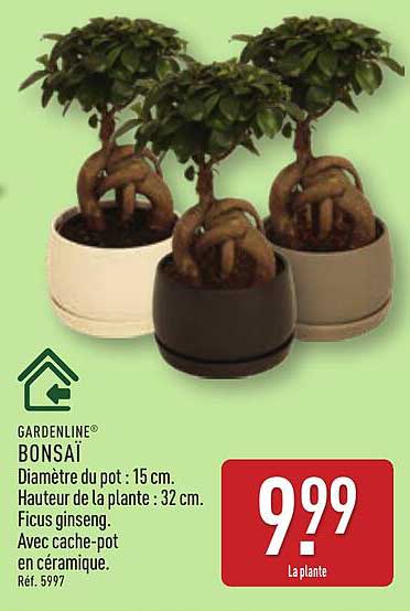 Bonsai GARDENLINE®
