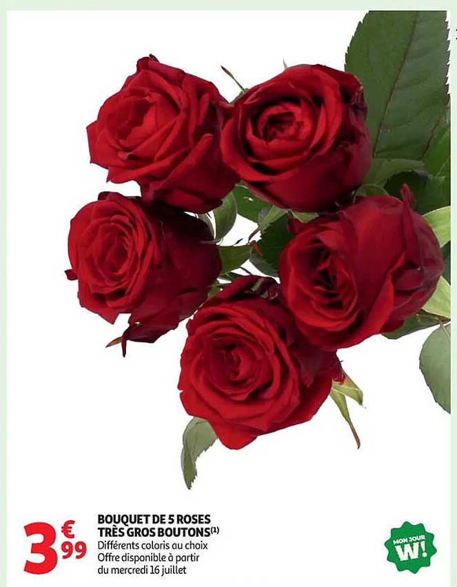 BOUQUET DE 5 ROSES TRÈS GROS BOUTONS