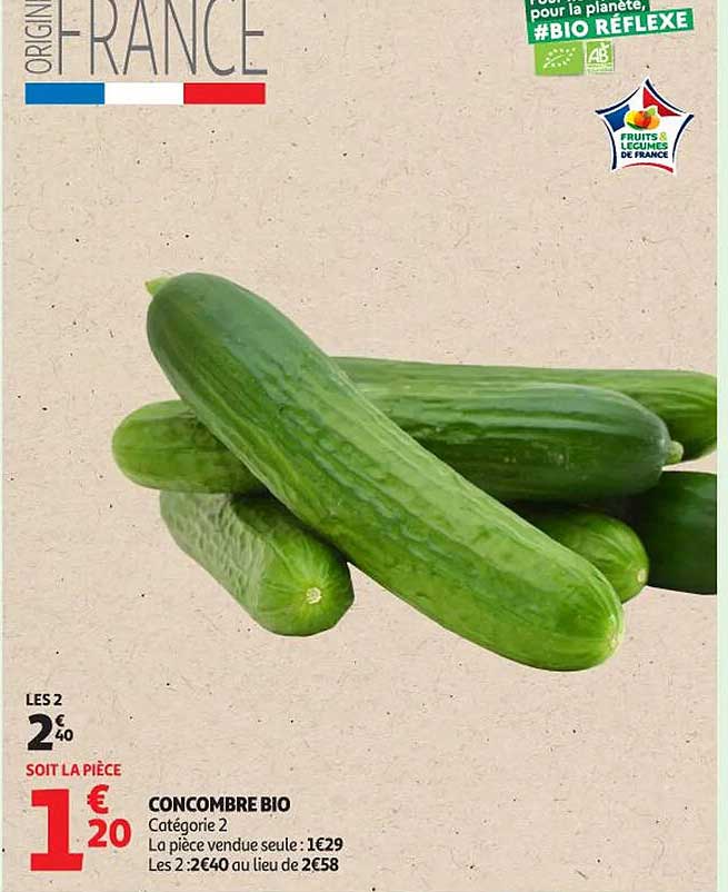 CONCOMBRE BIO