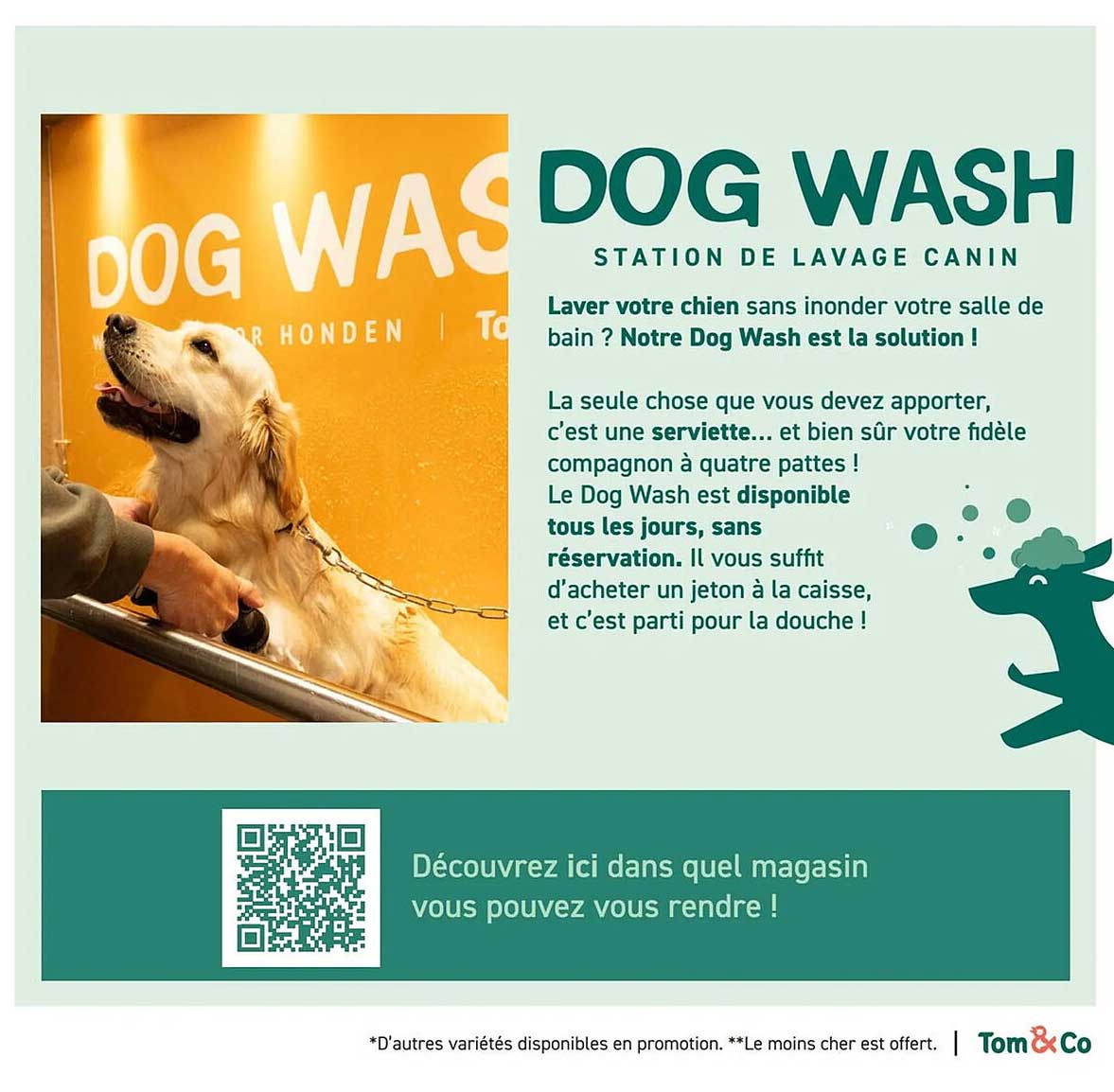 DOG WASH – STATION DE LAVAGE CANIN