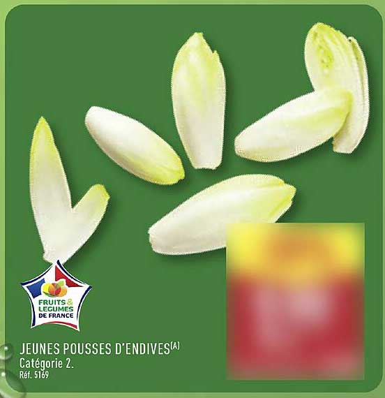 JEUNES POUSSES D'ENDIVES(A)