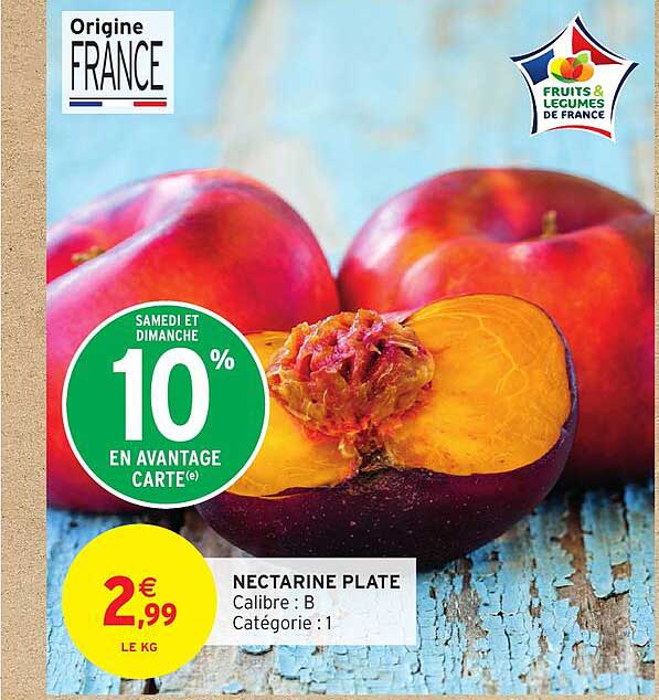NECTARINE PLATE