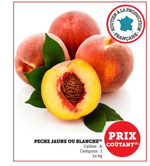 PECHE JAUNE OU BLANCHE