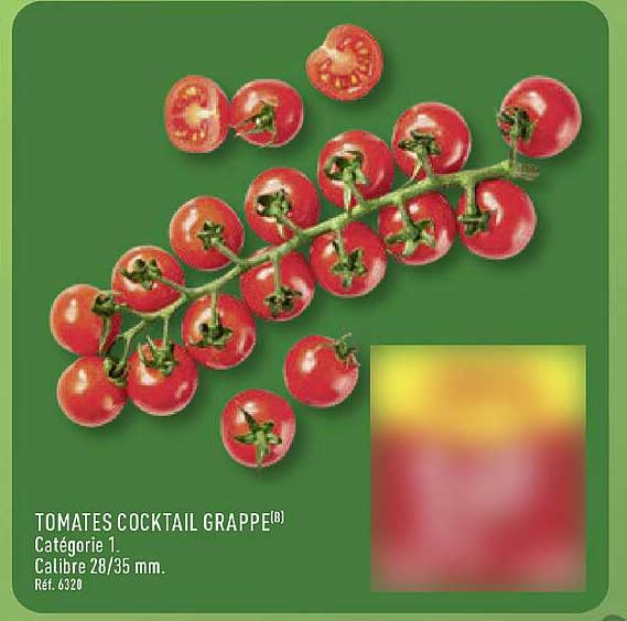 TOMATES COCKTAIL GRAPPE(B)