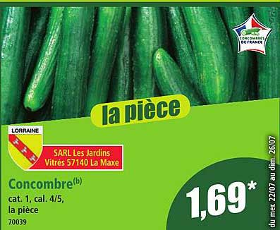 Concombre (h) cat. 1, cal. 4/5, la pièce