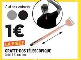 GRATTE-DOS TÉLESCOPIQUE