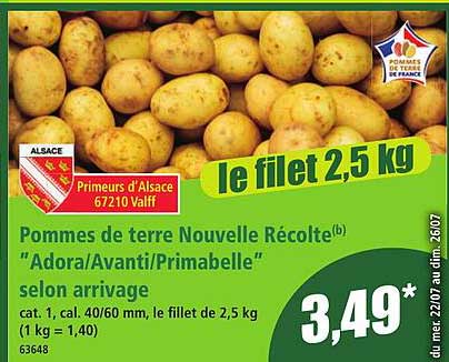 le filet 2,5 kg