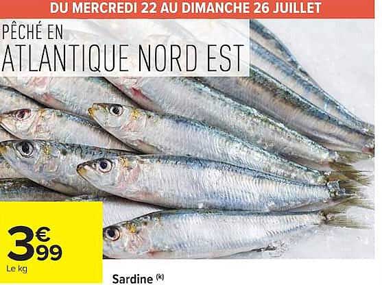 PÊCHE EN ATLANTIQUE NORD EST