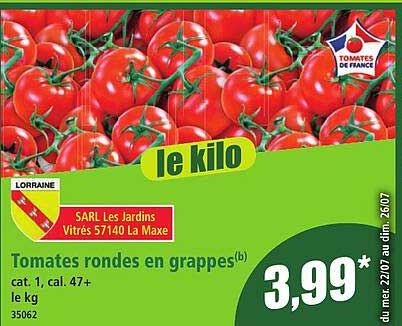 Tomates rondes en grappes