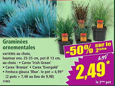 -50% sur le 2ème