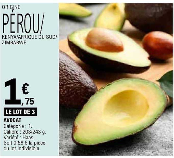AVOCAT