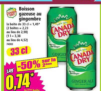 Boisson gazeuse au gingembre