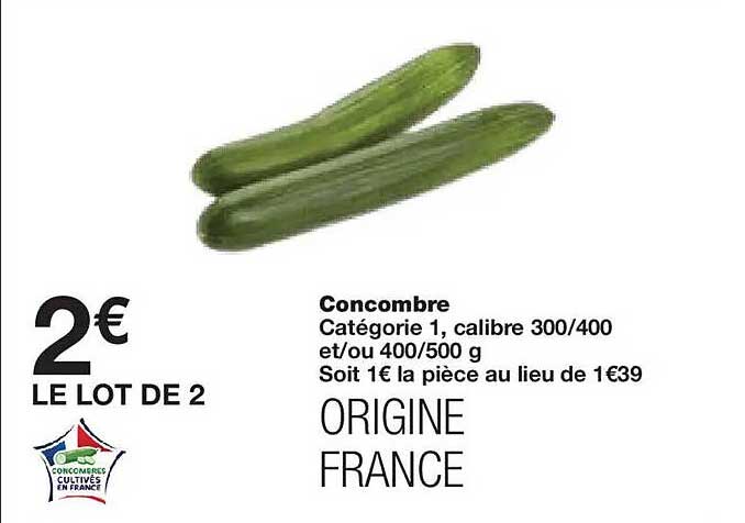 Concombre