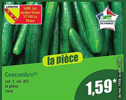 Concombre(b)