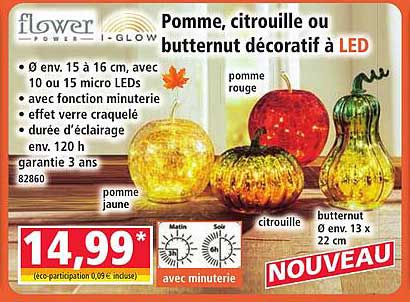 Pomme, citrouille ou butternut décoratif à LED