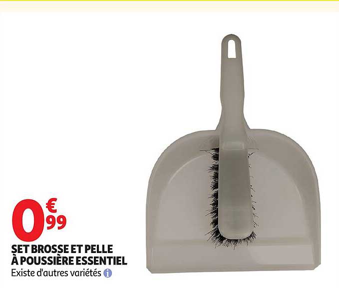 SET BROSSE ET PELLE A POUSSIERE ESSENTIEL