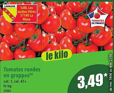 Tomates rondes en grappes