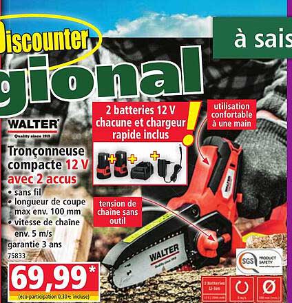 Tronçonneuse compacte 12 V avec 2 accus
