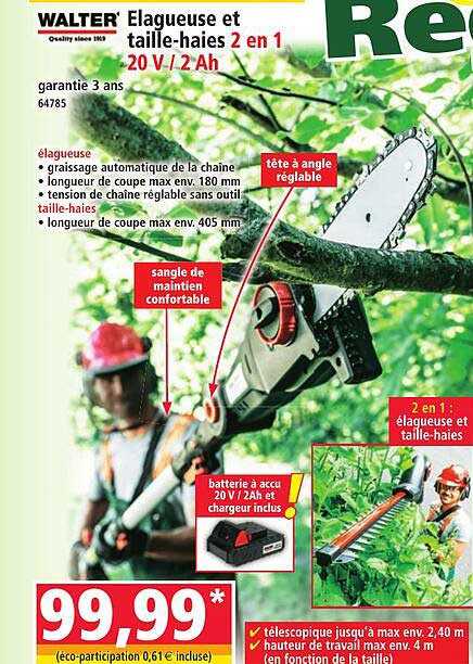 WALTER Elagueuse et taille-haies 2 en 1 20 V / 2 Ah