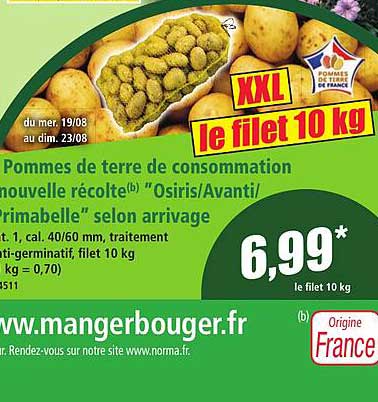 XXL le filet 10 kg
