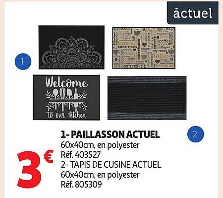 1- PAILLASSON ACTUEL