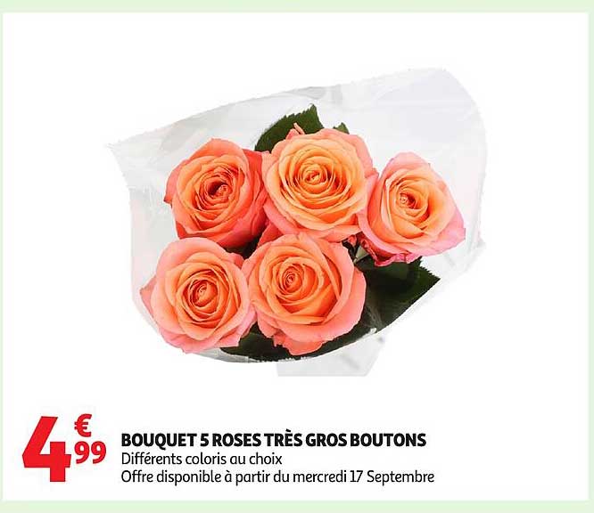BOUQUET 5 ROSES TRÈS GROS BOUTONS