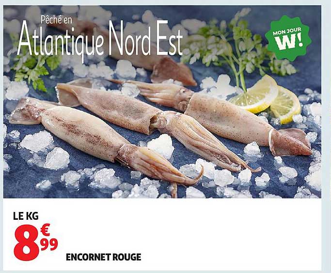 ENCORNET ROUGE