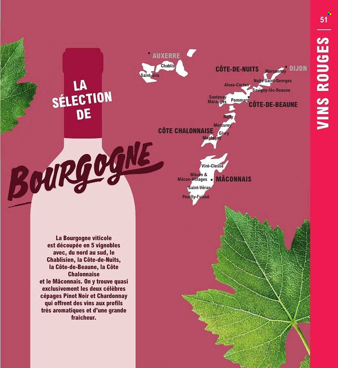 LA SÉLECTION DE BOURGOGNE