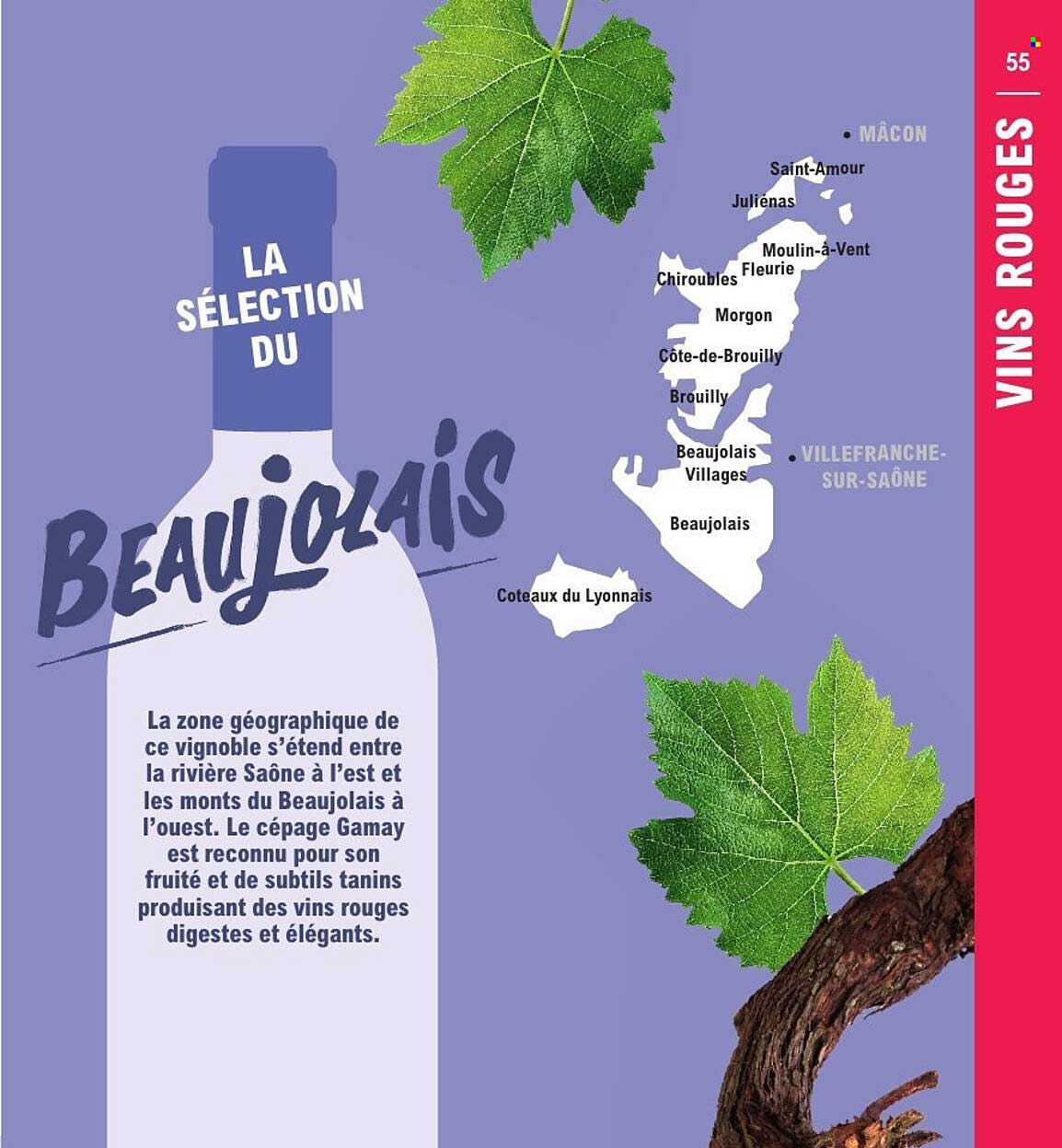 La sélection du Beaujolais