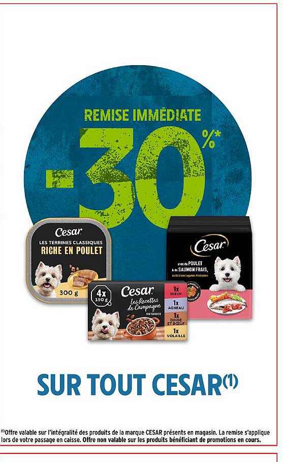 -30% REMISE IMMÉDIATE SUR TOUT CESAR(1)