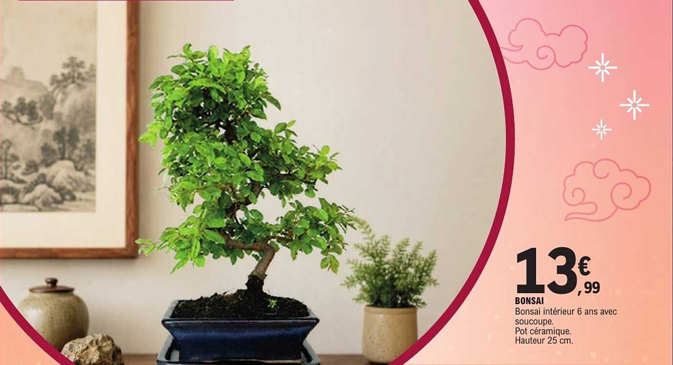 BONSAI