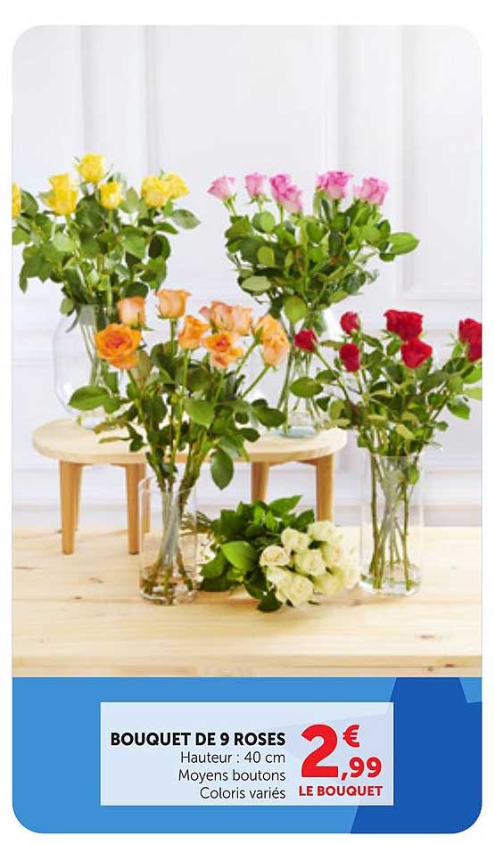 BOUQUET DE 9 ROSES