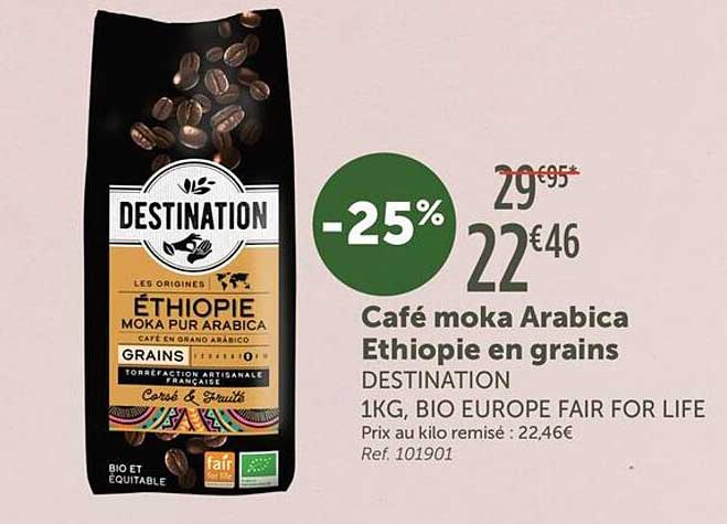 Café moka Arabica Ethiopie en grains DESTINATION 1KG, BIO EUROPE FAIR FOR LIFE