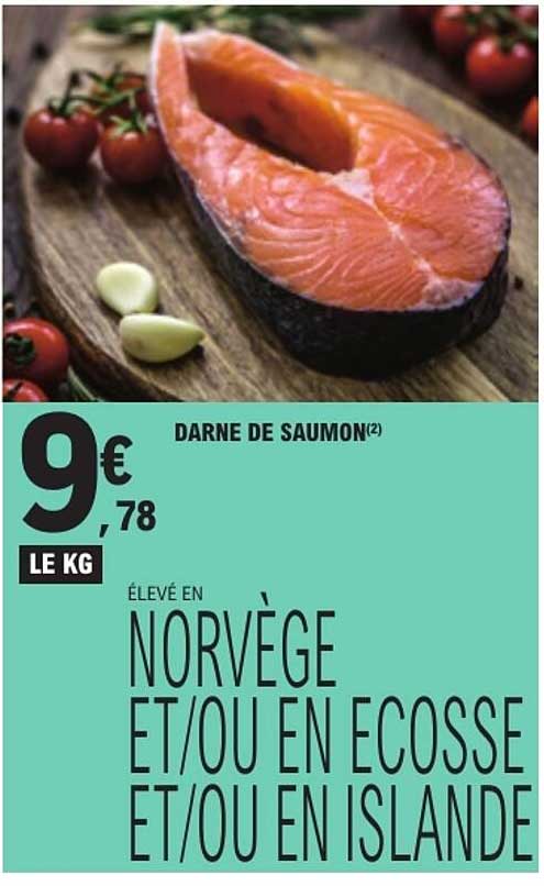 DARNE DE SAUMON