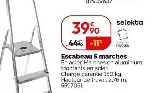 Escabeau 5 marches