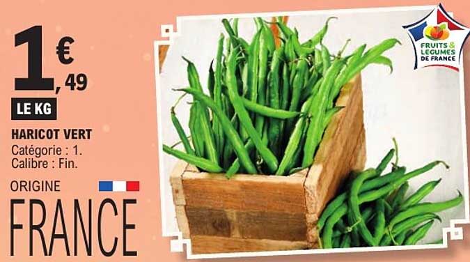 HARICOT VERT