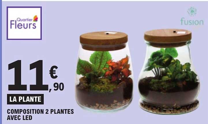 LA PLANTE COMPOSITION 2 PLANTES AVEC LED