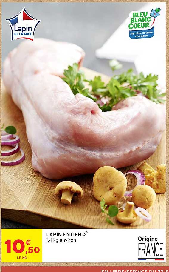 LAPIN ENTIER