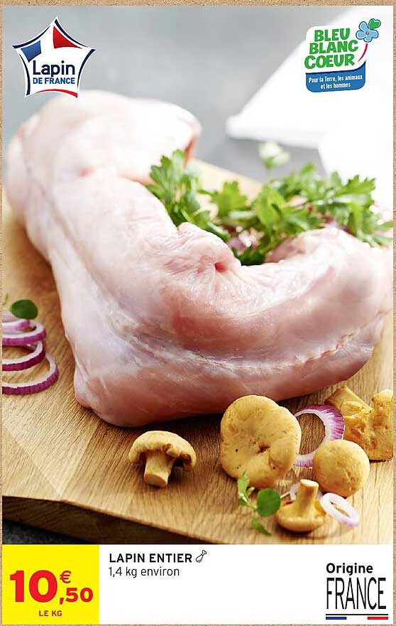 LAPIN ENTIER